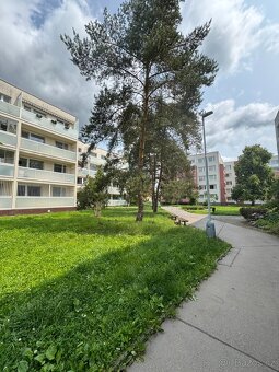Prodej bytu 3+1 s lodžií v centru Berouna - 11