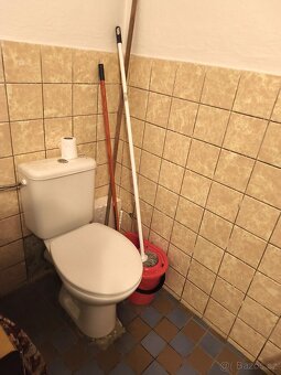 Prodej RD se zahradou a garáží, Jedlí u Zábřehu na Moravě - 11