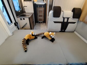 Obytný vůz Fiat Ducato, Rimor, SARUS 8 - 11