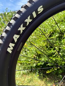 Elektrokolo GIANT - 11