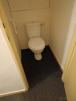 Pronájem bytu 2+1 - 11