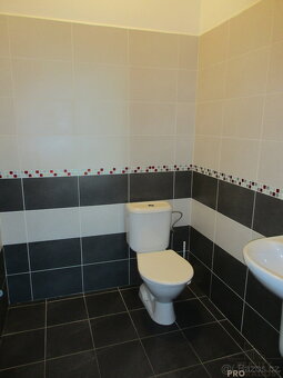 Pronájem nebytových prostor ve Veselí nad Moravou - 11