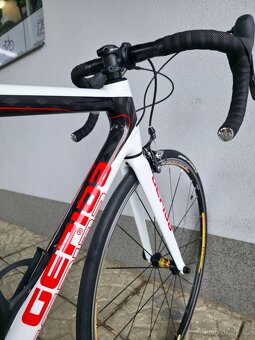 Silniční kolo Gepida Bandon 1100 Carbon – velikost 54cm (M) - 11