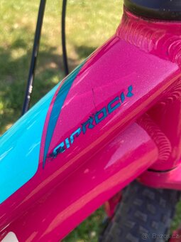 Specialized RipRock 20 - 11