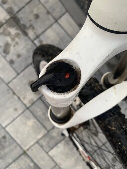 Fuji Nevada 1.0 - 11