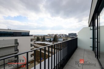 Pronájem, byty/1+kk, 44 m2, Železná 3061/10, Jižní Předměstí - 11