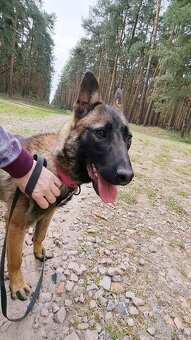 FREYA K ADOPCI - dokonalá parťačka - 11