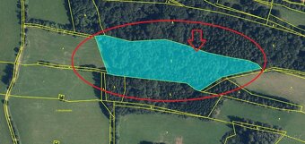 Prodej lesního pozemku v k.ú. Hostice - 11