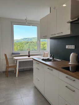 Pronajem 2+1, 60m2, Liberec Ruprechtice, Hokejka - 11