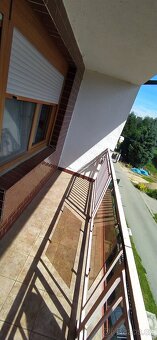 Pronájem, podnájem - 11