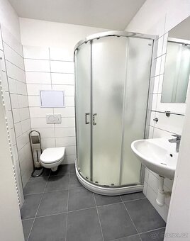 Prostorný 1+kk Lidická u Lužánek i k dlouhodobému nájmu - 11