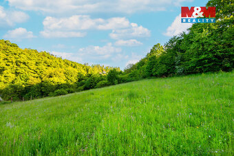 Prodej louky, 18692 m², Jílové u Prahy - 11