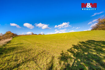 Prodej pole, 6484 m², Kolinec - 11