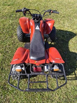 Bashan bs200s-3 - 11