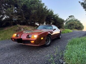 Pontiac Firebird Trans Am z roku 1980 - 11