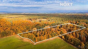 Prodej pozemek Lesy, 10398㎡ - 11