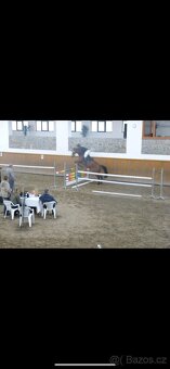 Klisna ČT - 11