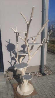 Kocici strom v bile lazure - skrabadlo - 11