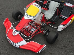 MOTOKÁRA BIREL ART ROTAX DD2 - 11