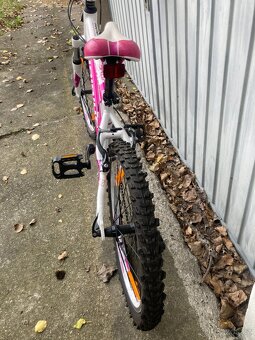 Dětské kolo HAIBIKE LITTLE LIFE 20 - růžové - 11