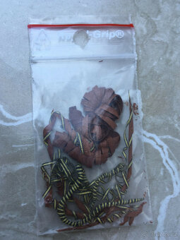 Kytara Wilm Stötzel Clara - kytara snů z Německa (Martin, Gi - 11