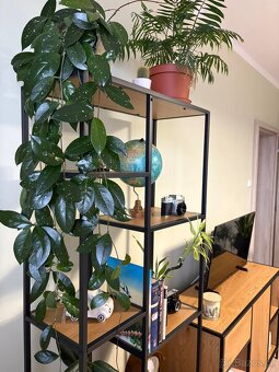 Stylový set nábytku – komoda, police, konferenční stolek - 11