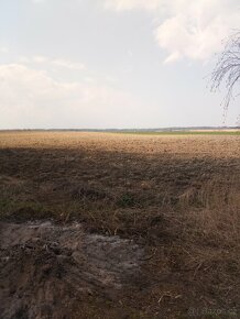 Prodej domu na samotě - 11