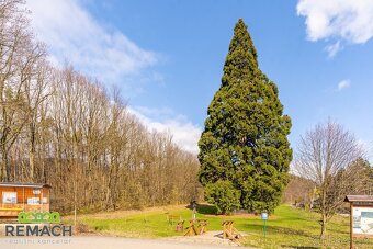 Prodej, chata, pozemek 372 m2, Břestek, ev.č. 03080 - 11