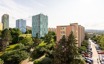 Pronájem bytu 1+kk, Narcisová, Záběhlice, 14900 Kč/měs, 24 m - 11