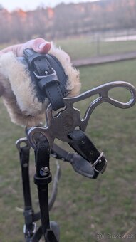 Hackamore uzdečka - 11