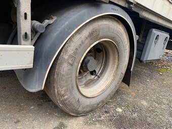 DAF LF + vlek - 11