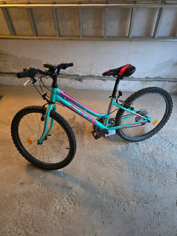 Dětské kolo CTM Mony dívčí - 11