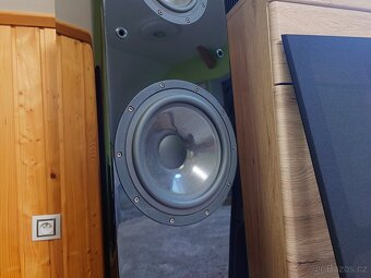 Aurum Cantus M-102HG - 11