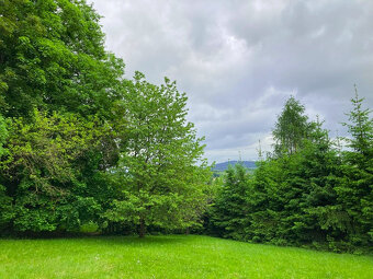 Prodej pozemku 650 m2 k výstavbě chaty v Sušici - 11