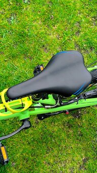 Cosmic 20 2023-24 AUTHOR - 11