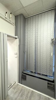 Pronájem obchodního prostoru 128m2 v centru města - 11