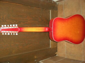 housle+ el.kytara+12tistrunna kytara - 11