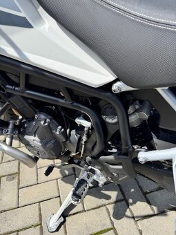 Triumph Tiger 900 GT (Low) snížená verze - 11