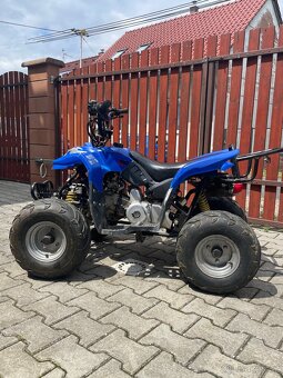 Čtyřkolka 110ccm (107ccm), minibike 50ccm (49ccm) - 11