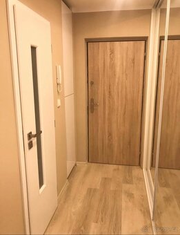 Pronájem 2+kk s lodžií po rekonstrukci - 11