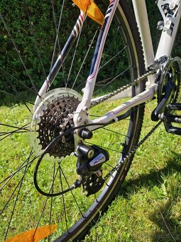 Specialized Ariel - 11