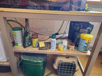 Akvárium 290l s vybavením - 11