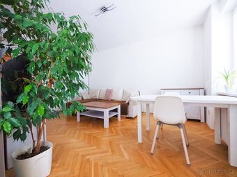 Dlouhodobý pronájem bytu 2+1 (54 m²) - 11