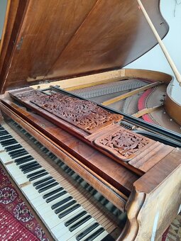 Prodám křídlo R. 1880 - 11