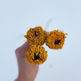 Sušené květiny - 11
