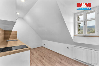 Prodej penzionu, 440 m², Rokytnice nad Jizerou - 11