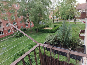 Pronájem bytu 3+1, Dělnická, Neředín, 17500 Kč/měs, 72 m2 - 11