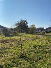 Prodej stavebního pozemku 994 m² - 11
