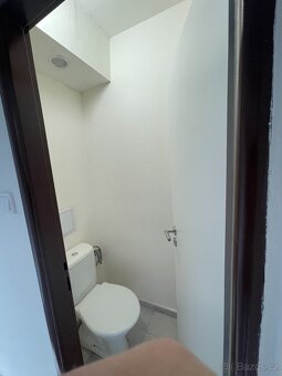 Pronájem 1+1 40m2, Hostomice, po rekonstrukci - 11
