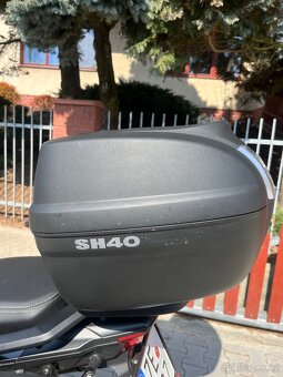 Benelli TRK 502 X - 11